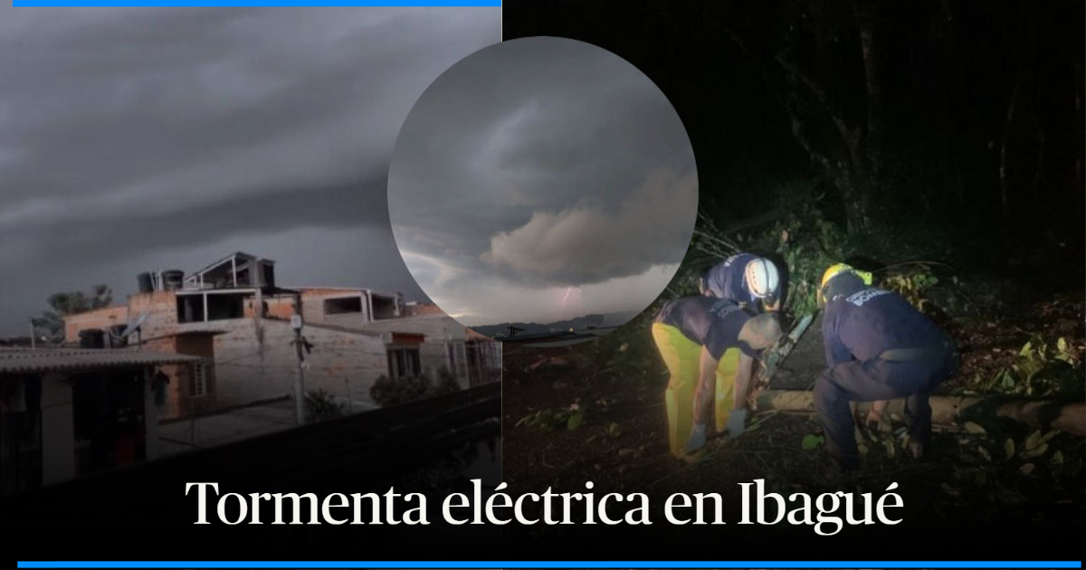 Balance Tras Las Fuertes Lluvias En Ibagu Inundaciones Y Ca Das De